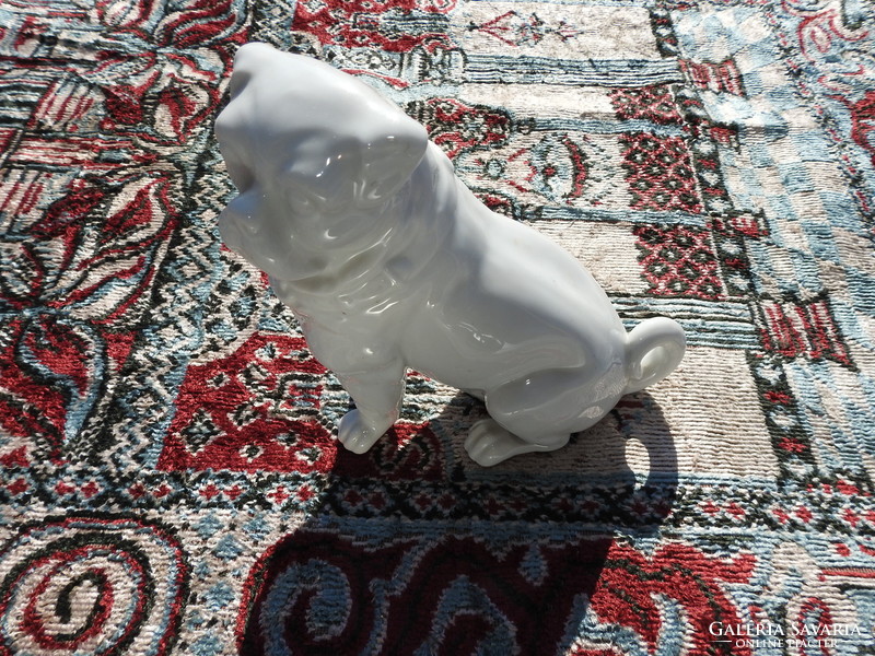 Angol Bulldog antik porcelán figura