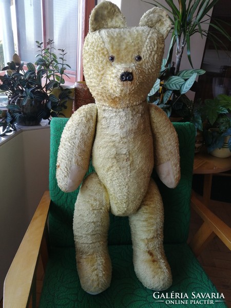 Teddy / teddy bear / teddy bear from the 1950s