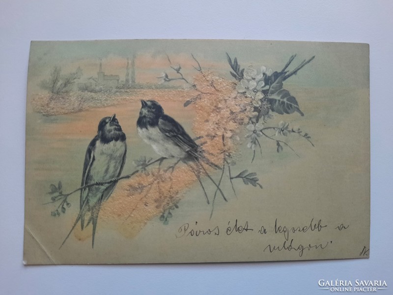 Antik glitteres levelezőlap, képeslap, üdvözlőlap, 1901