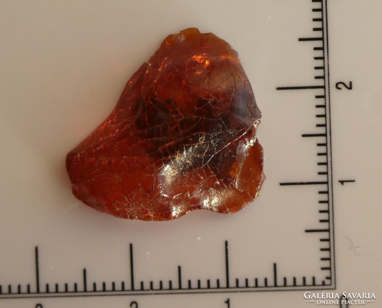Natural and rare bitterfeld with amber plant inclusion. High quality Paleogene piece.