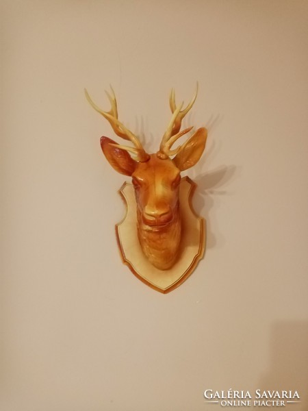 Old deer head