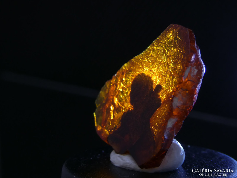 Natural and rare bitterfeld with amber plant inclusion. High quality Paleogene piece.