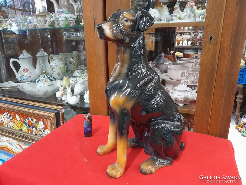 Large German sitting doberman dog porcelain figurine, sculpture.