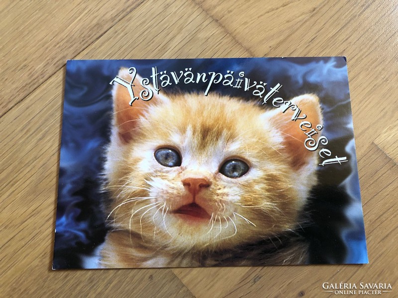 Kitten postcard