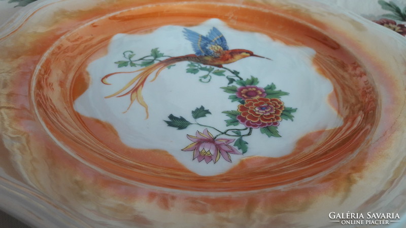 Madaras, paradicsommadaras porcelán tányér, nagy lapos tányér (L2335)