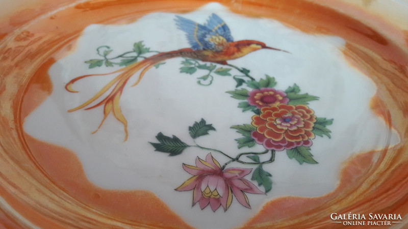 Bird, tomato bird porcelain plate, large flat plate (l2335)