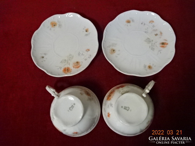 Zsolnay porcelán teáscsésze + alátét, antik. Vanneki! Jókai.
