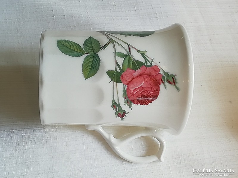 Delicate Lined Beautiful Translucent Royal Wings English Mug Set of 6 Roses