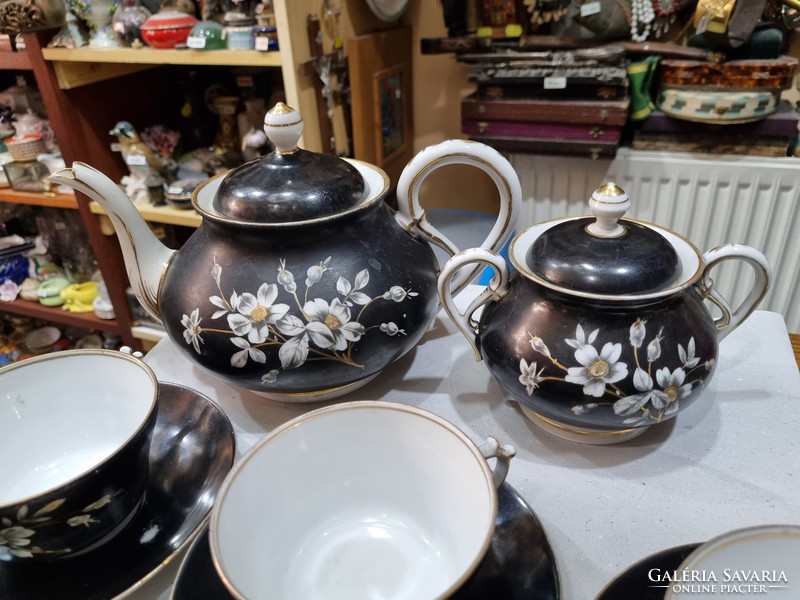 Old austrian tea set