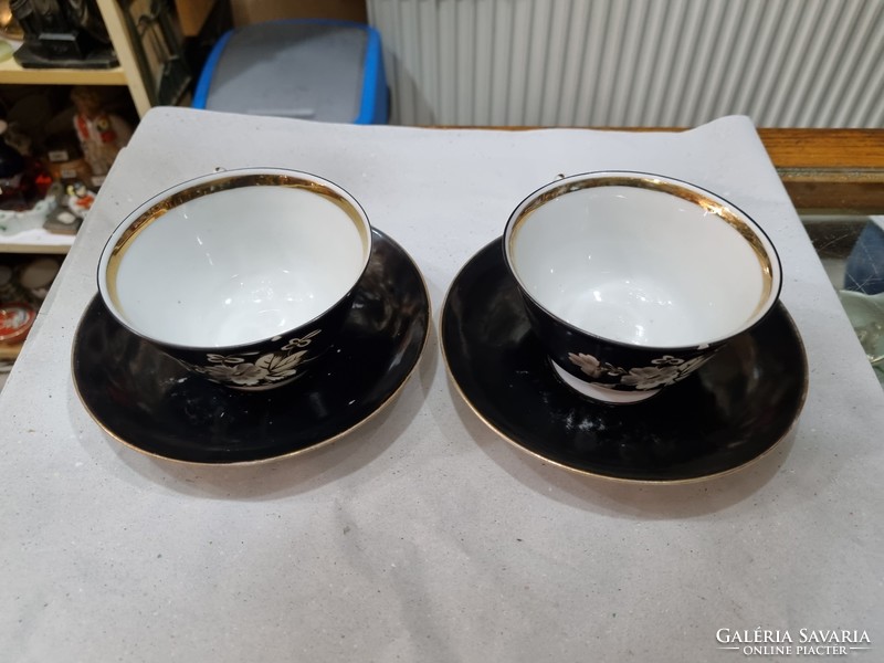 2 old Austrian tea cups
