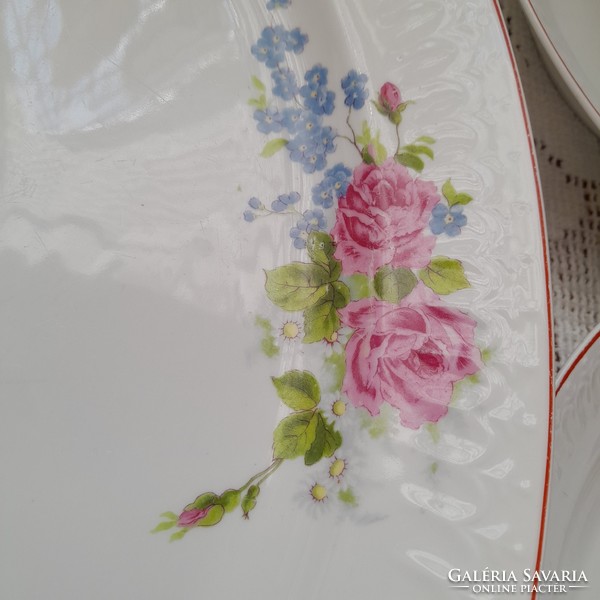 Czech rosy dishes and deep plates