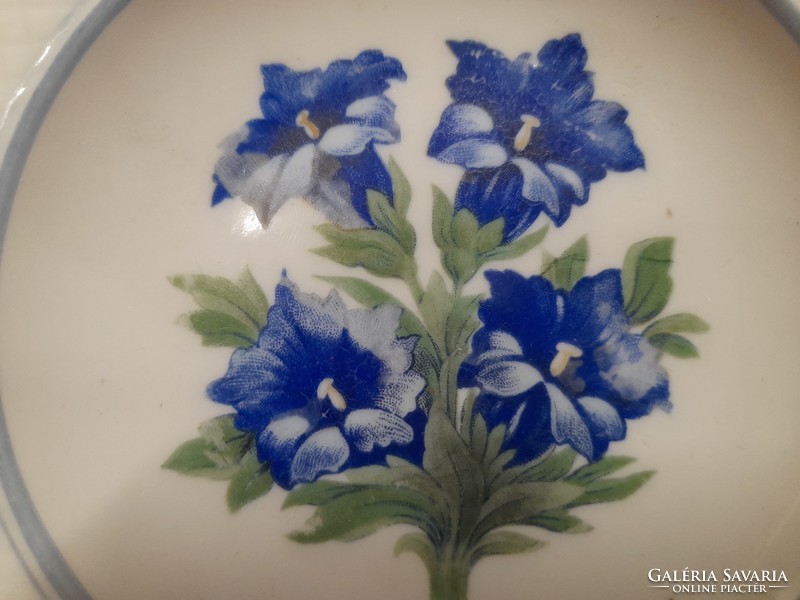 Antique german, germany arzberg schumann porcelain flower pattern serving plate.14.5 Cm.