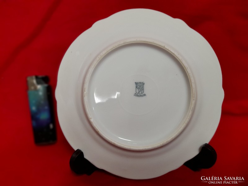 Antique German, Germanic Arzberg Schumann Porcelain Pear Pattern Cake Plate.14.5 Cm.