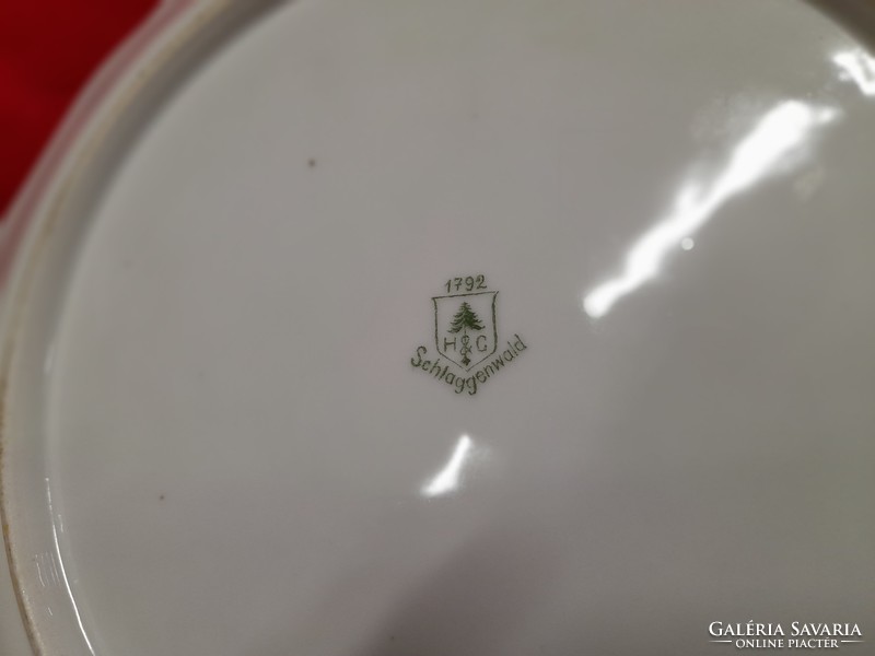 Haas & czjzek schlaggenwald porcelain plate, serving.1918-1945. 28.5 Cm.
