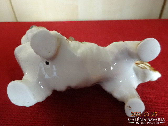 German porcelain figurine, hand-painted dog. He has! Jókai.