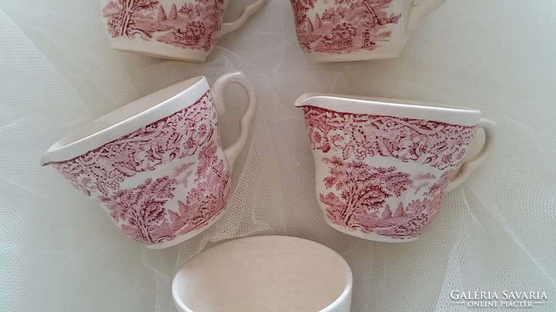 English faience cup pouring blackberries pattern 5 pcs