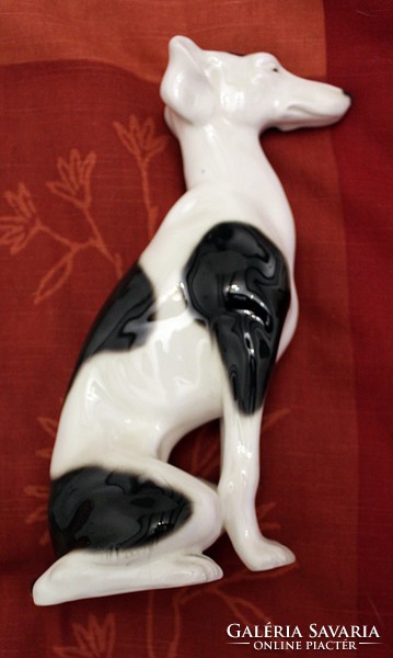 Rare porcelain greyhound