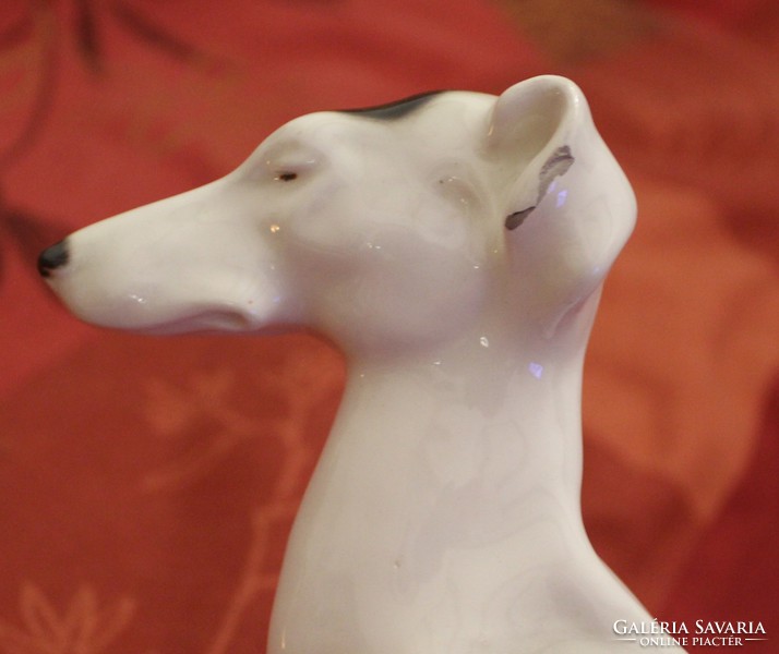 Rare porcelain greyhound