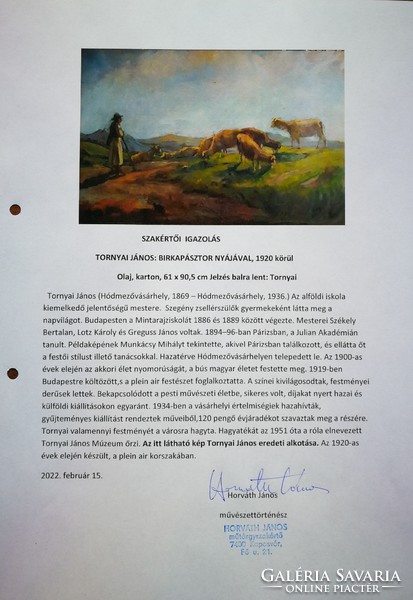 Original painting by János Tornyai with a guarantee