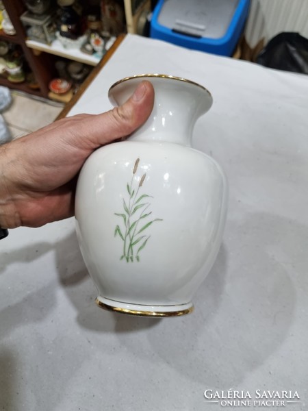 Porcelain vase in old raven house