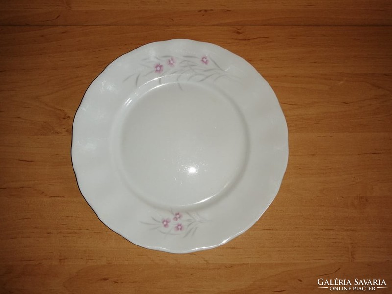 Large Polish porcelain flat plate set, 6 in one 26 cm (2p)