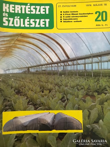 Kertészet és szőlészet magazin 1978. 51 db csak december 21. hiányzik teljesen új állapotban