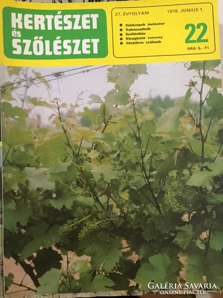 Kertészet és szőlészet magazin 1978. 51 db csak december 21. hiányzik teljesen új állapotban