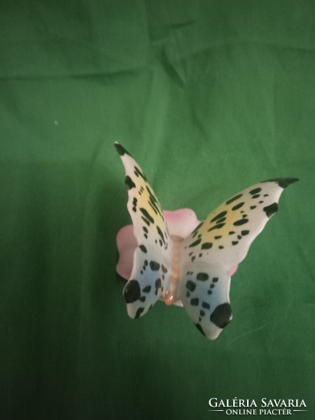 Beautiful raven house porcelain butterfly