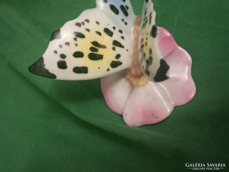 Gyönyörű Hollóházi porcelán pillangó