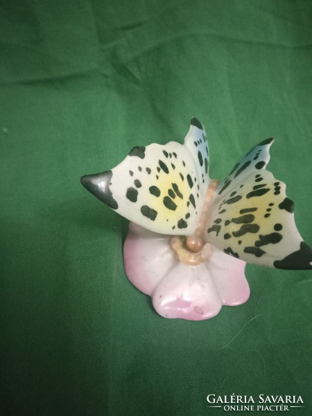 Beautiful raven house porcelain butterfly