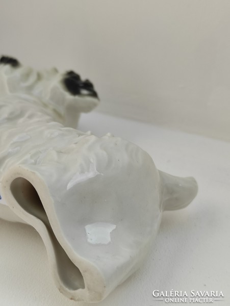Flawless porcelain fox dog with an extremely charming ear sharpener