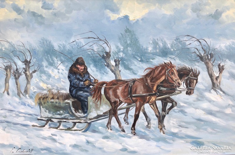 Gábor Irinyi on a sleigh