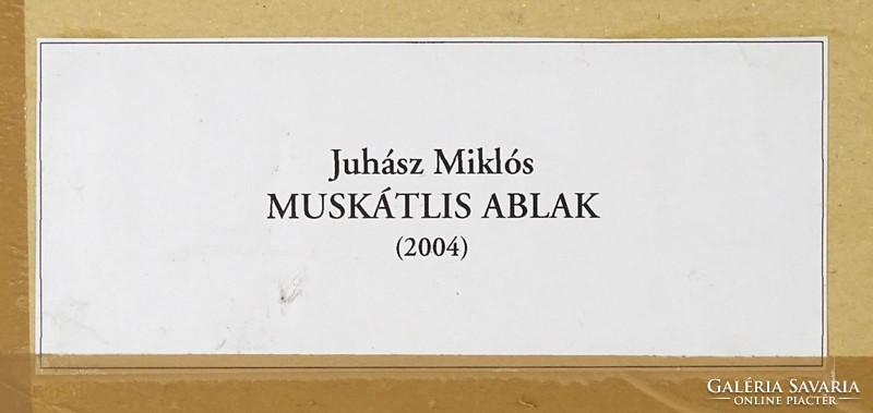 1G844 Miklós Juhász: geranium window 2004