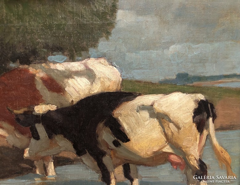 Zombory lajos - cows