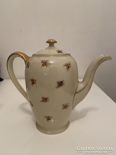 Rosenthal floral gilded teapot with tea spout