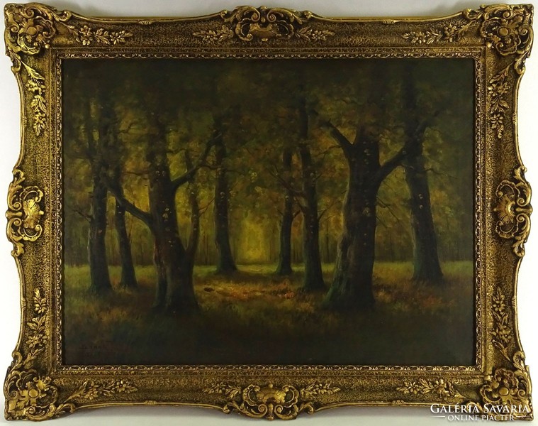 1I551 beregi t. Signed: autumn forest interior
