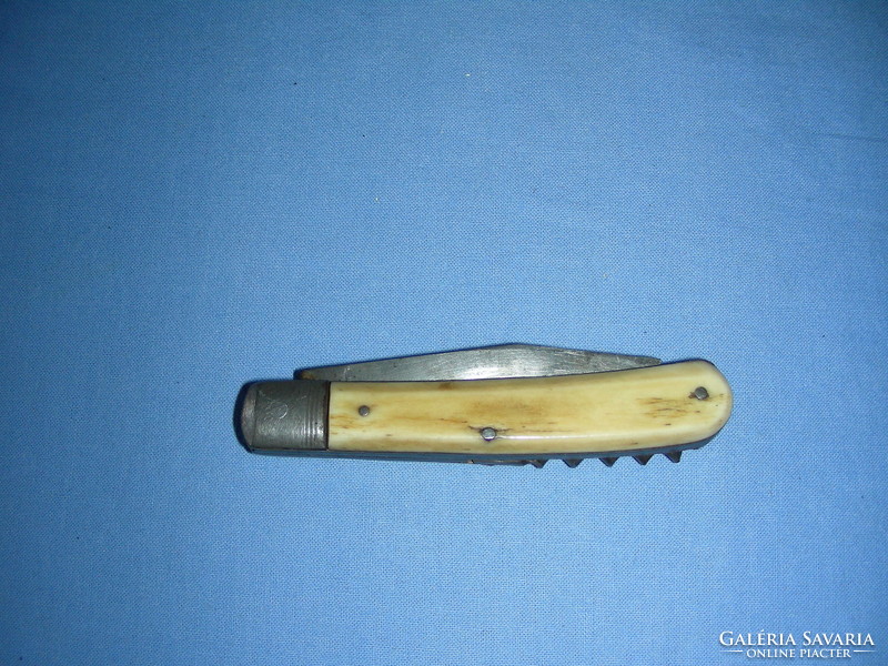 Bone-tipped knife