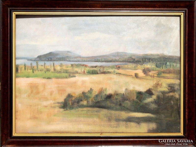 Hungarian painter: view of the bay of Füred, in the distance with the Tihany peninsula - oil painting, framed