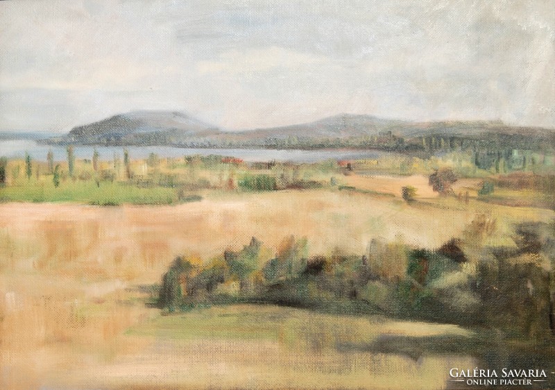 Hungarian painter: view of the bay of Füred, in the distance with the Tihany peninsula - oil painting, framed
