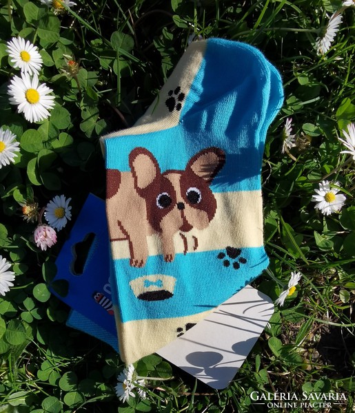 Funny dog socks (French bulldog) dog, puppy