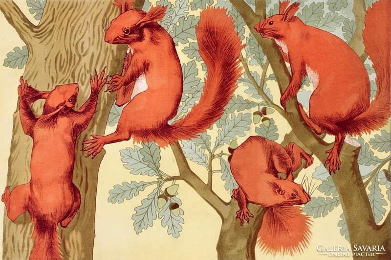 Maurice pillard verneuil - squirrels - canvas reprint on blindfold