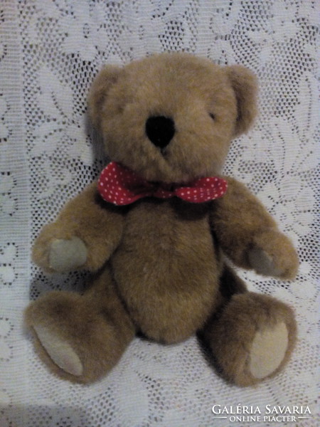 Teddy bear with polka dot bow