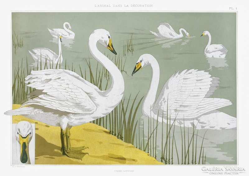 Maurice pillard verneuil - swans - reprint