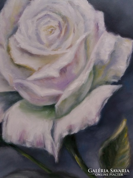 Egy szál rózsa, olajfestmény,46 cm x 54 cm