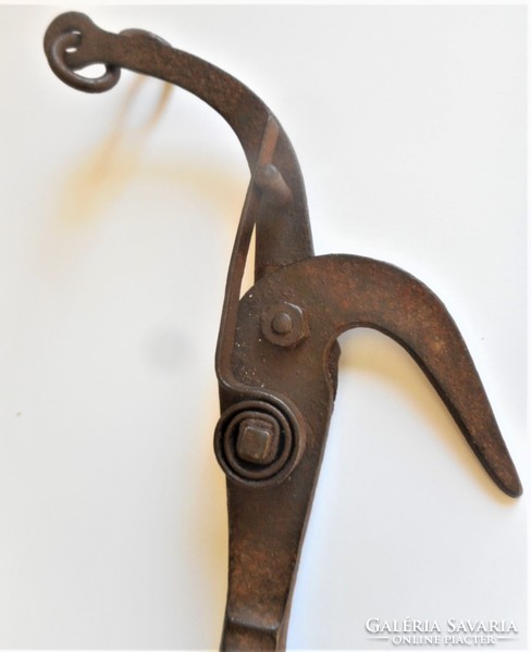 Old pruning shears