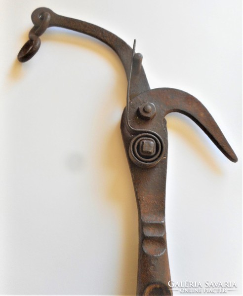 Old pruning shears