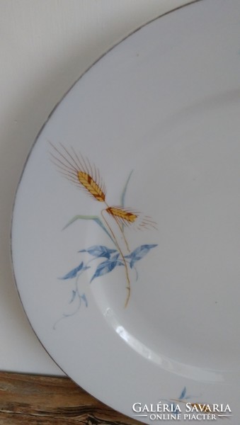 Iris jp fine porcelaine porcelain cake serving bowl made with wheat ears decor