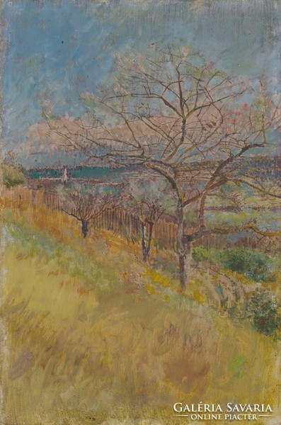 Mednyánszky - garden with flowering trees - canvas reprint on blinds
