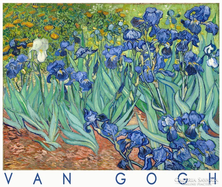 Van gogh irises 1889 art poster dutch painting blue white colorful flowers spring garden landscape