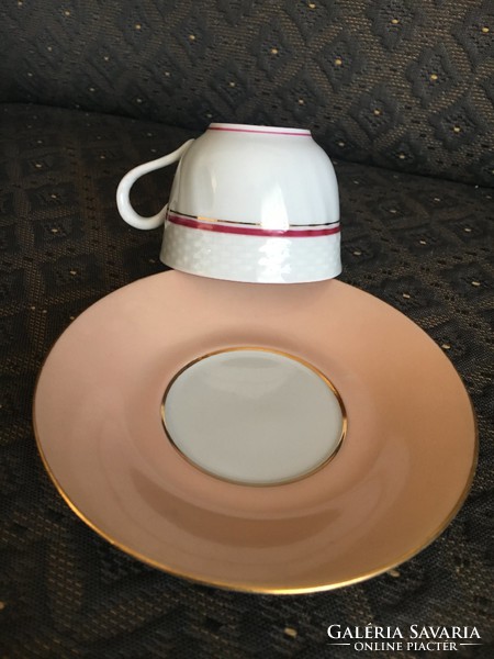 Herend coffee cup and base, rare beige fond painting